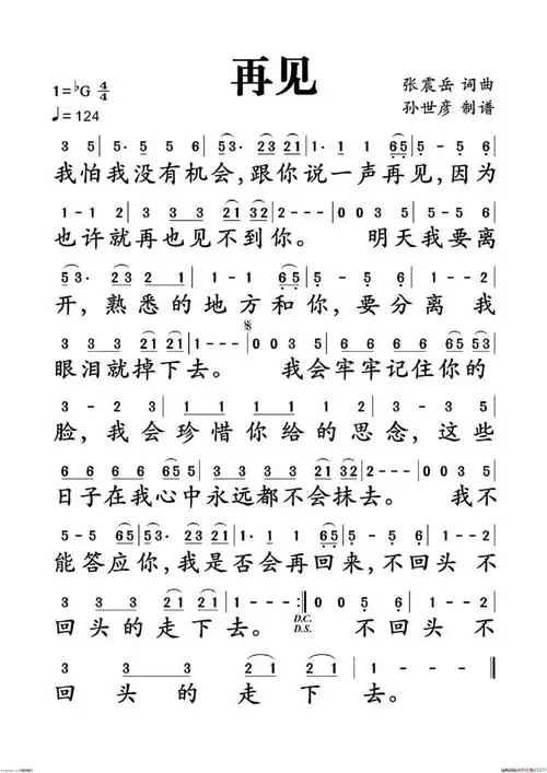 流行笛子曲再见笛子演奏d调筒2