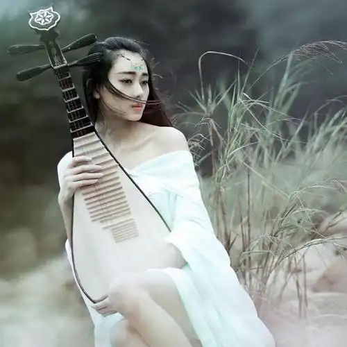 轻弹琵琶恐断弦