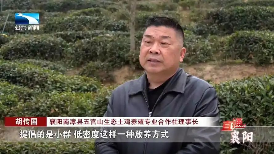 直通襄阳 | 榜样鼓舞斗志 为建设"金南漳"凝聚磅礴力量_长江云 - 湖北