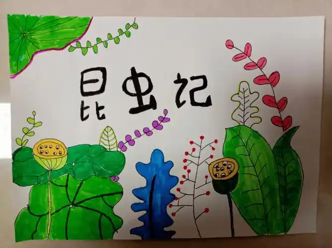 昆虫记亲子绘本