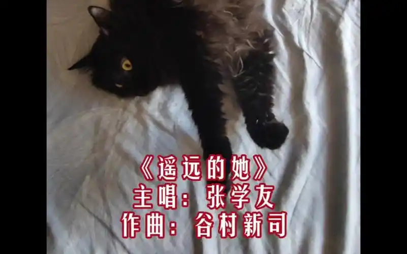 【那个麦可尔】mv《遥远的她》缅怀"谷村新司"