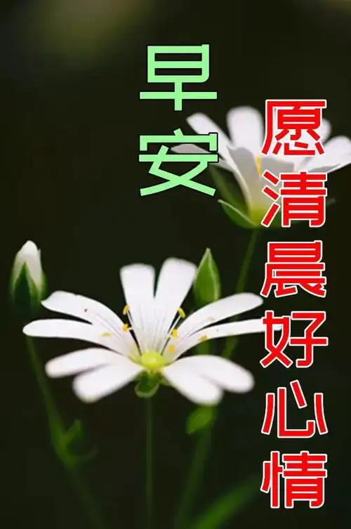 6月17日最漂亮早上好动态表情图片大全,早晨好动图美图大全|快乐|早安