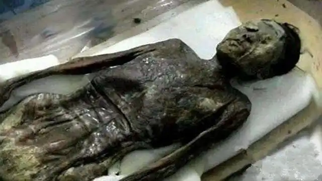 妃子,虽不得皇帝喜爱,但就数她活的最滋润|瑾妃|珍妃|皇帝_新浪新闻