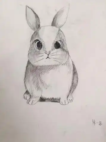 怎样画素描画初学者初学者素描画怎么画