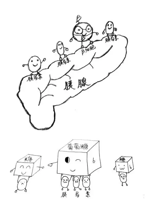 我是「糖糖小捣蛋」,小心我会爱上你——2 型糖尿病的自述