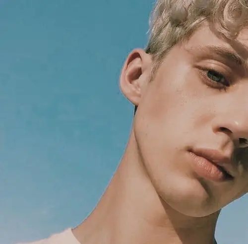 troye sivan戳爷 @ins:troye sivan