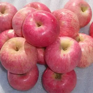 苹果北京图片_苹果北京图片大全 - 阿里巴巴海量精选高清图片