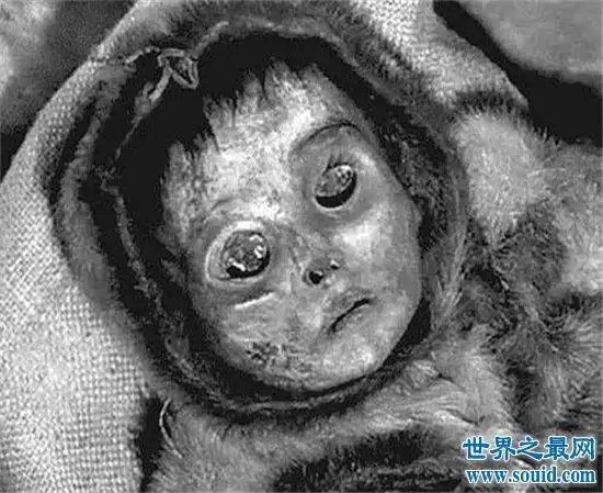 印加儿童木乃伊在秘鲁被发现,背后是一场残忍的祭祀