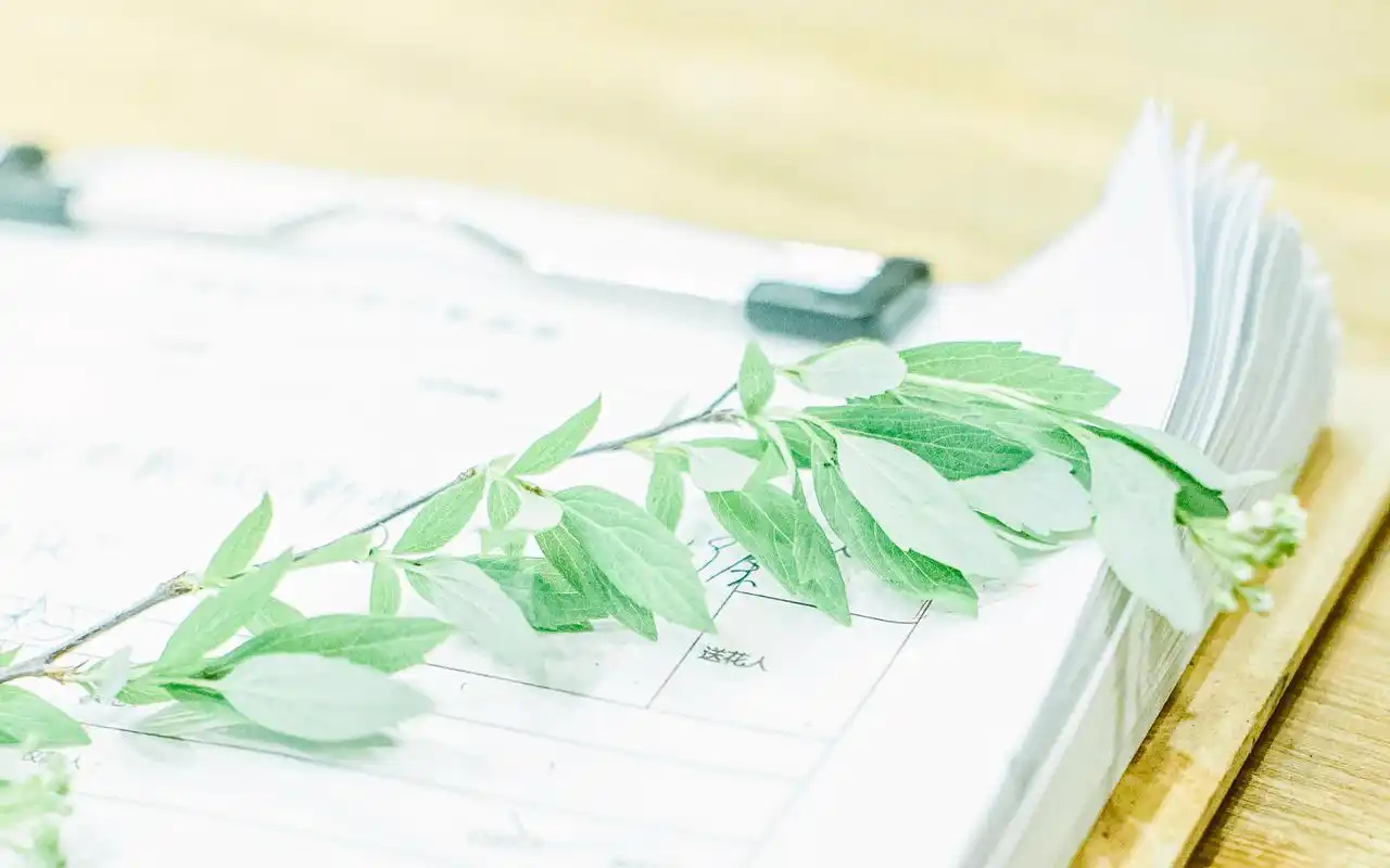 文艺小清新绿色护眼唯美意境高清壁纸