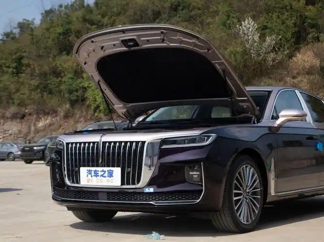 【图解图片_西安新丰泰红旗红旗h9图片】-汽车之家