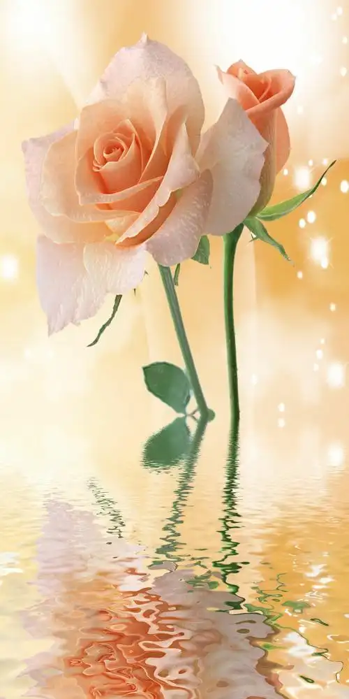 玄关壁画_简约花,欢迎选购(副本)