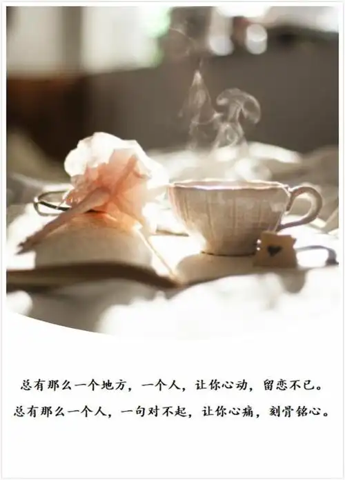 情感语录大全几句爱情句子表达心情短句