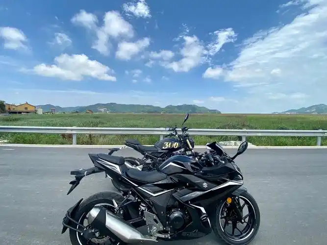 温岭铃木gsx250r跑山