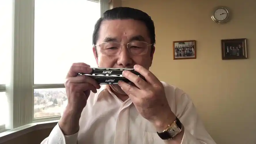 tremoloharmonicasolo口琴独奏游击队进行曲