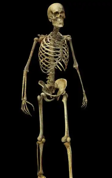 家常炖骨架图片