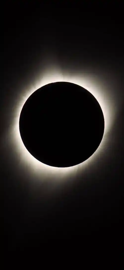 酷酷的黑色系壁纸