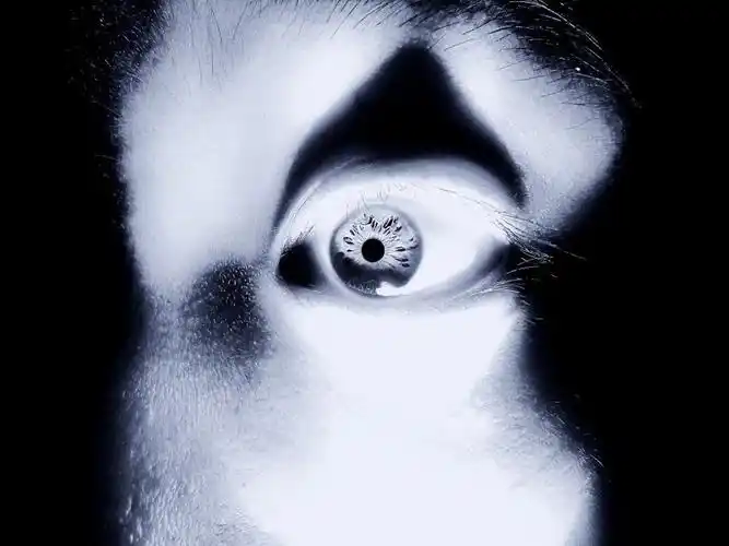 我的眼睛~~(恐怖)