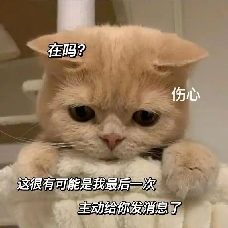 这可能是我最后一次跟你发消息了.#发给对象表情包 #表 - 抖音