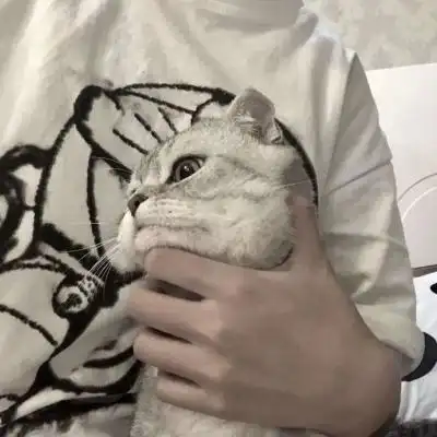 ins抱猫系列男生头像我想见你