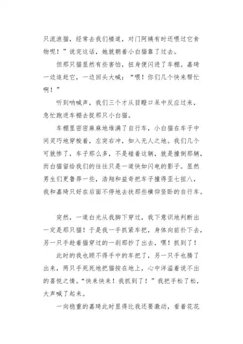 五年级作文卡丁车别跑3500字