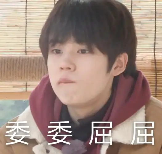 委委屈屈姚景元表情包系列明星表情表情