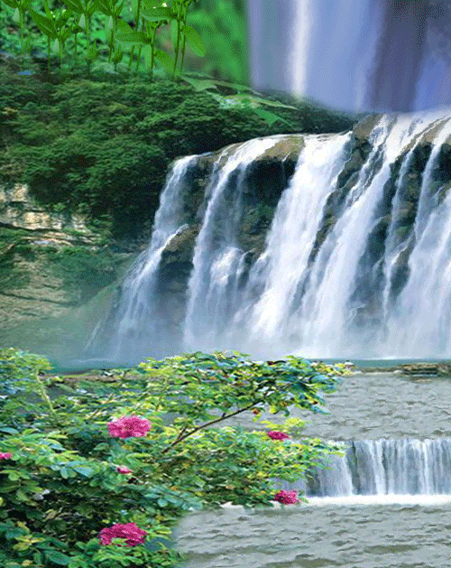 500_629竖版 竖屏gif 动态图 动图