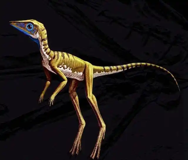 锯齿龙类爬虫类,并不是恐龙.