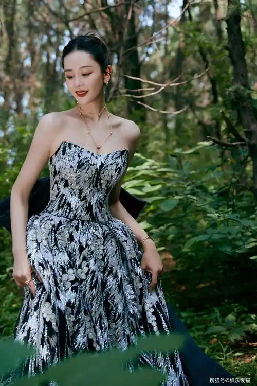 女星海陆写真一袭黑底银羽抹胸礼裙气质高贵典雅