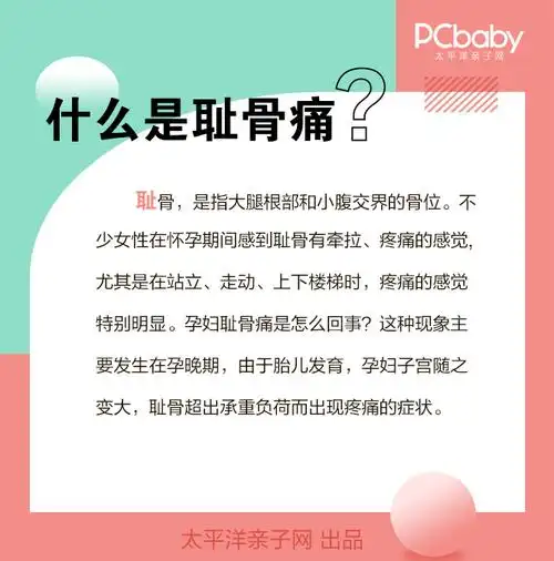 孕期百科词典耻骨痛