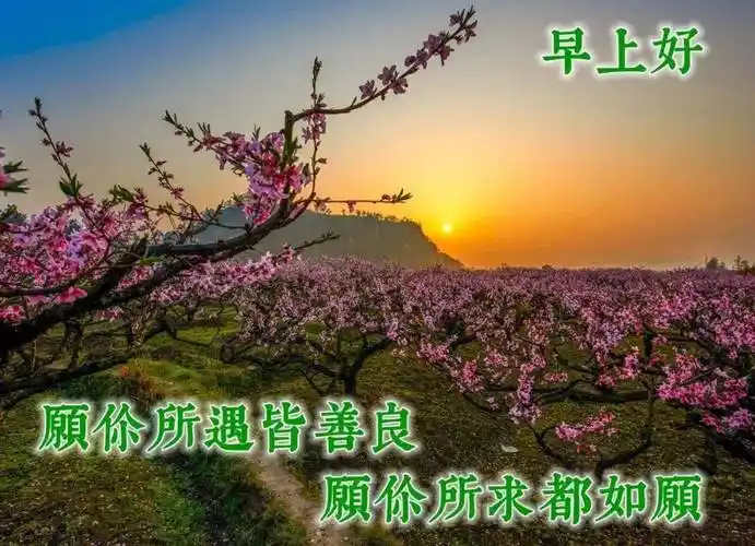 原创8张最新漂亮春日清晨风景早上好图片带祝福语