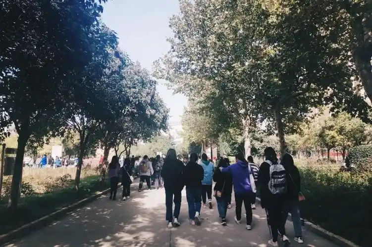 商院的雷锋 ▲校园草丛 他/她们就是"小荧幕"背后的一群人