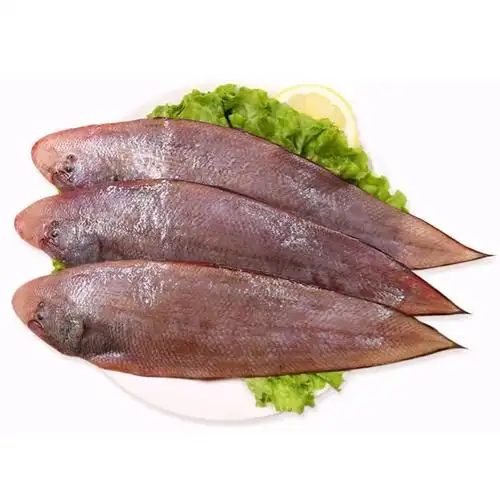 龙利鱼新鲜冷冻舌头鱼鲜活新鲜海水鱼冷冻海鲜水产罗菲迪新二斤装