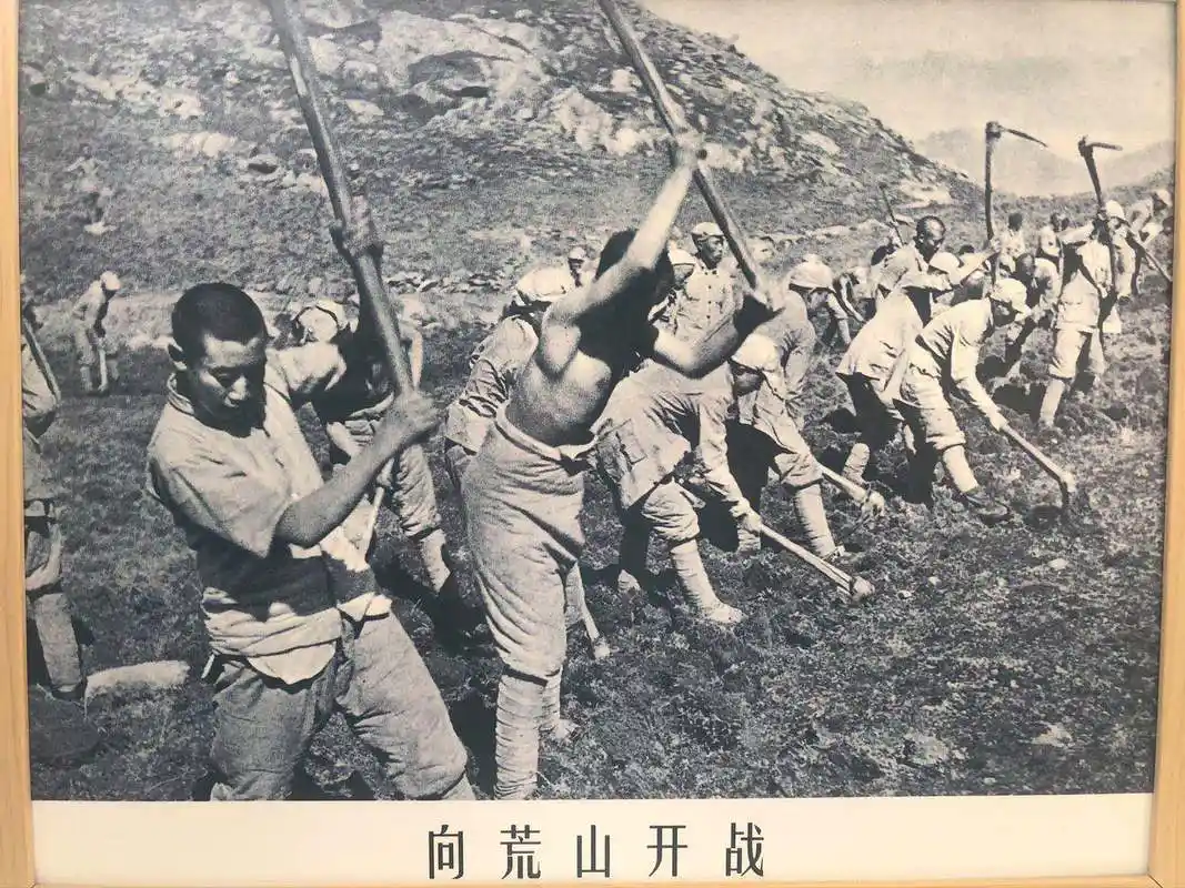 红军战士开垦荒山的老照片.