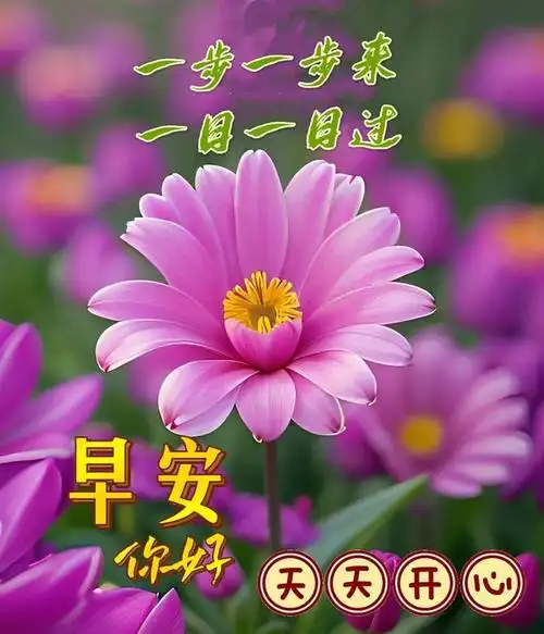 2024年3月19日周二早安创意温馨祝福图片暖心的问候祝福语推荐周二