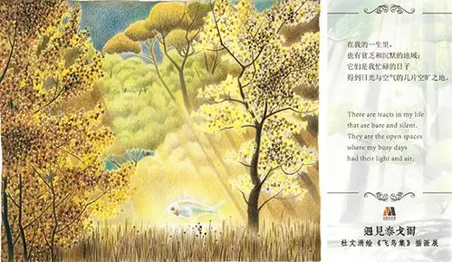 遇见泰戈尔杜文涓绘飞鸟集插画展作品选三