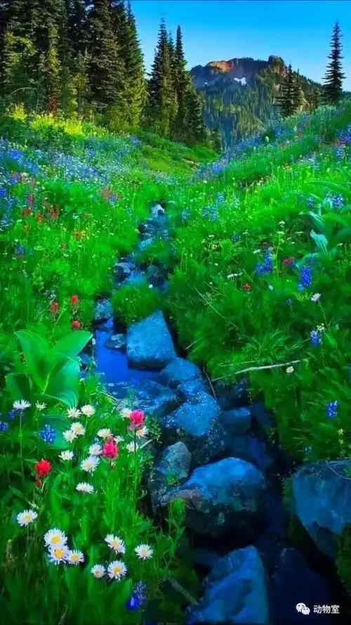 特别漂亮的手机风景壁纸,超级好看!