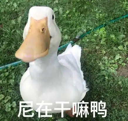 一个人也要坚强鸭 - 搞笑配字qq表情图片大全