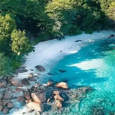 大自然的美有花有草有风景超高清头像 山水风景微信头像图片2022_风景