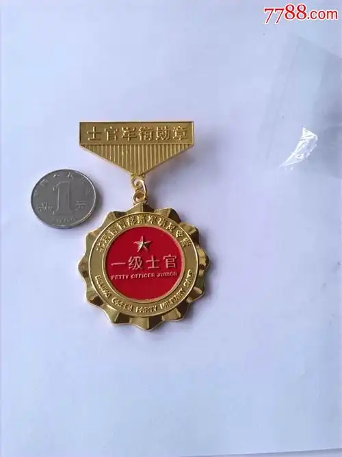 一级士官胸牌奖章
