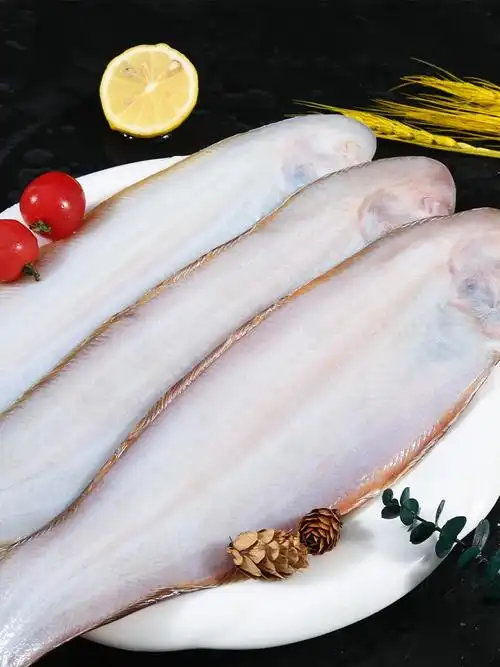 龙利鱼免邮新鲜