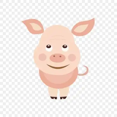 猪耳朵图片