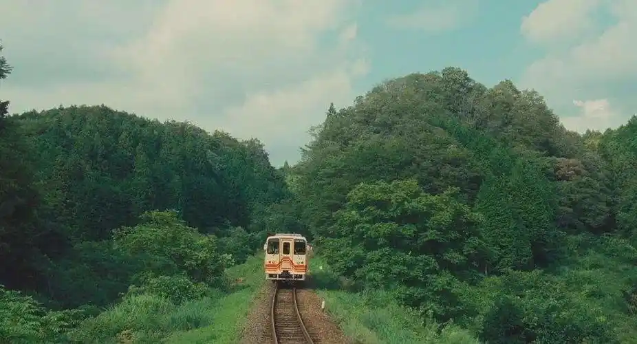 春日里宜发呆看日剧