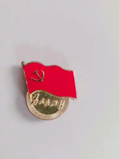 易利丰(elifo) 镀金标准党徽胸章 党员新徽章 党员徽章 【加厚款厚2mm