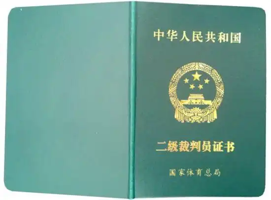 持证上岗 国家电竞裁判员资格证书曝光_玩家资讯_新浪游戏_新浪网