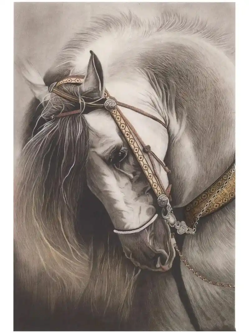 素描动物 #素描 素描动物《马》素材#画画鱼美术 #一起学 - 兑趑