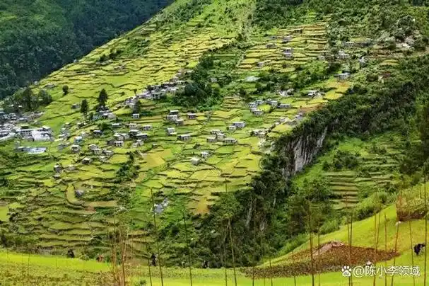 西藏定结县:隐秘的后藏的湿地王国,领略高原壮丽的自然景观