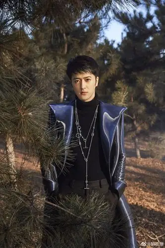 姚奕辰祝福语vcr视频费用是多少