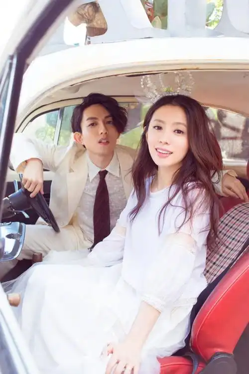 林宥嘉,董子健,他们的新娘都这么美