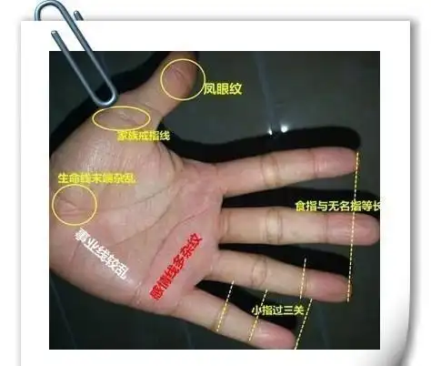 此手相者财运较好但性格孤傲婆媳家庭关系处理不好导致多次离婚