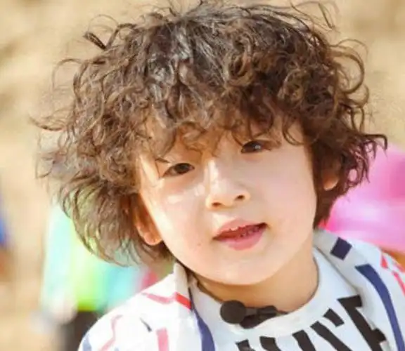 结束"衰邱树春获